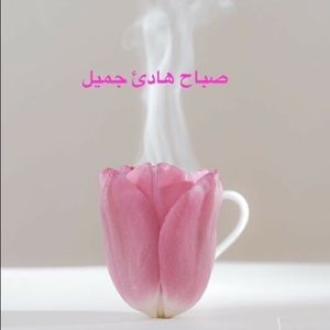 Meet your Posher, Hanan